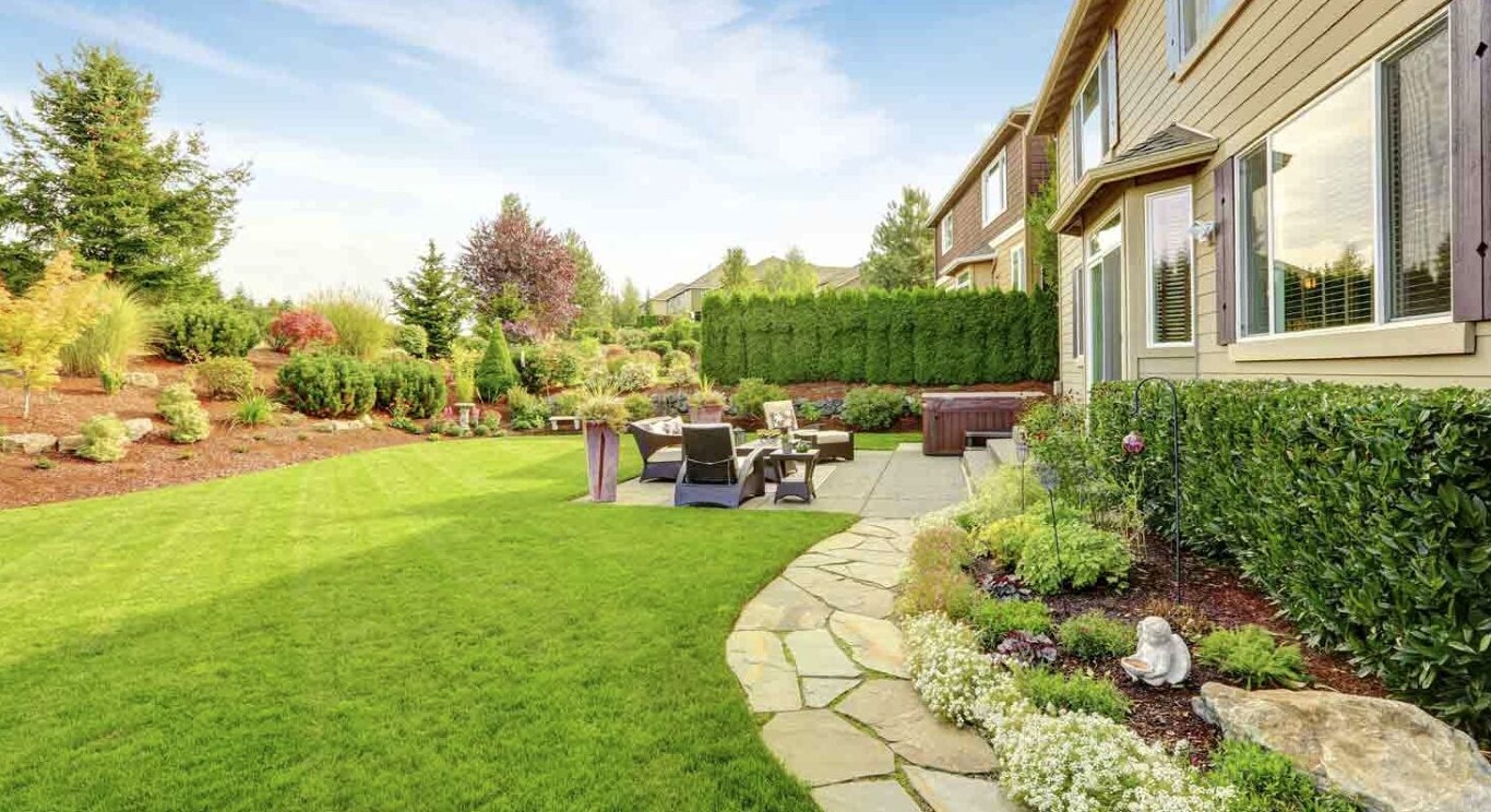 Professional lawn care and maintenance services in Daly City, CA