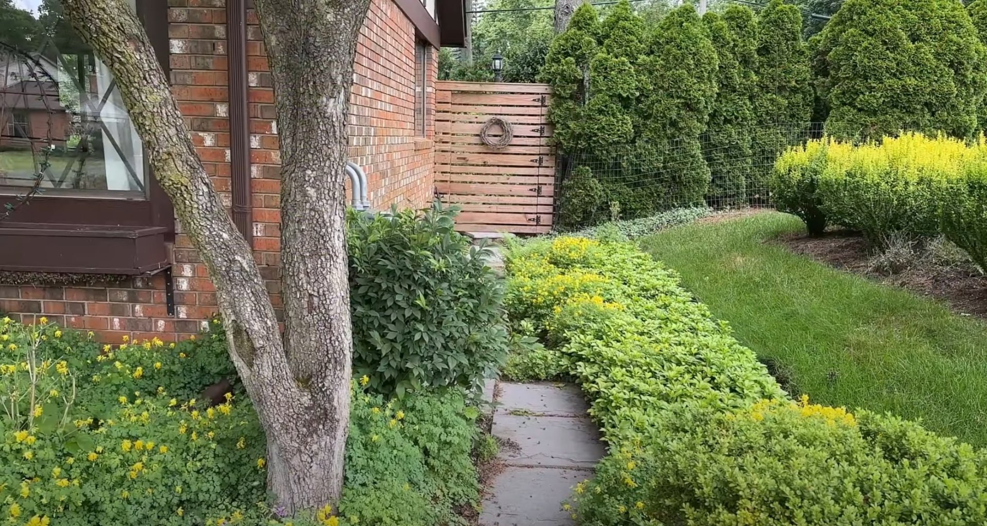 Residential backyard with curved lawn areas, mature trees, and well-maintained landscape beds