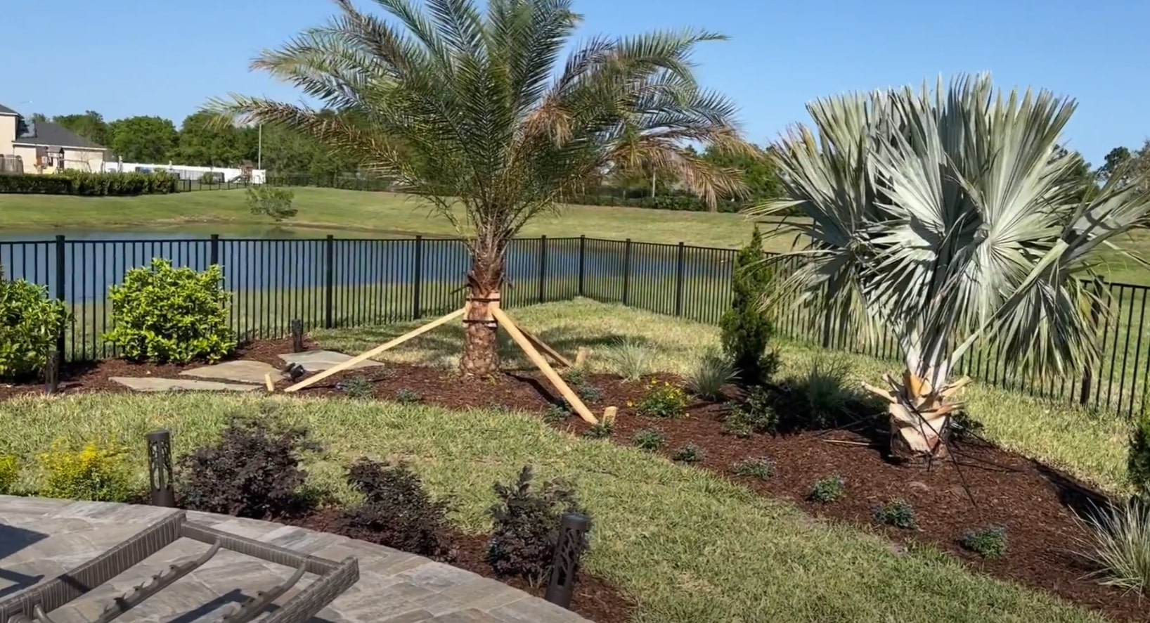 Backyard landscaping project showing palm trees, decorative plants, and professional landscape design