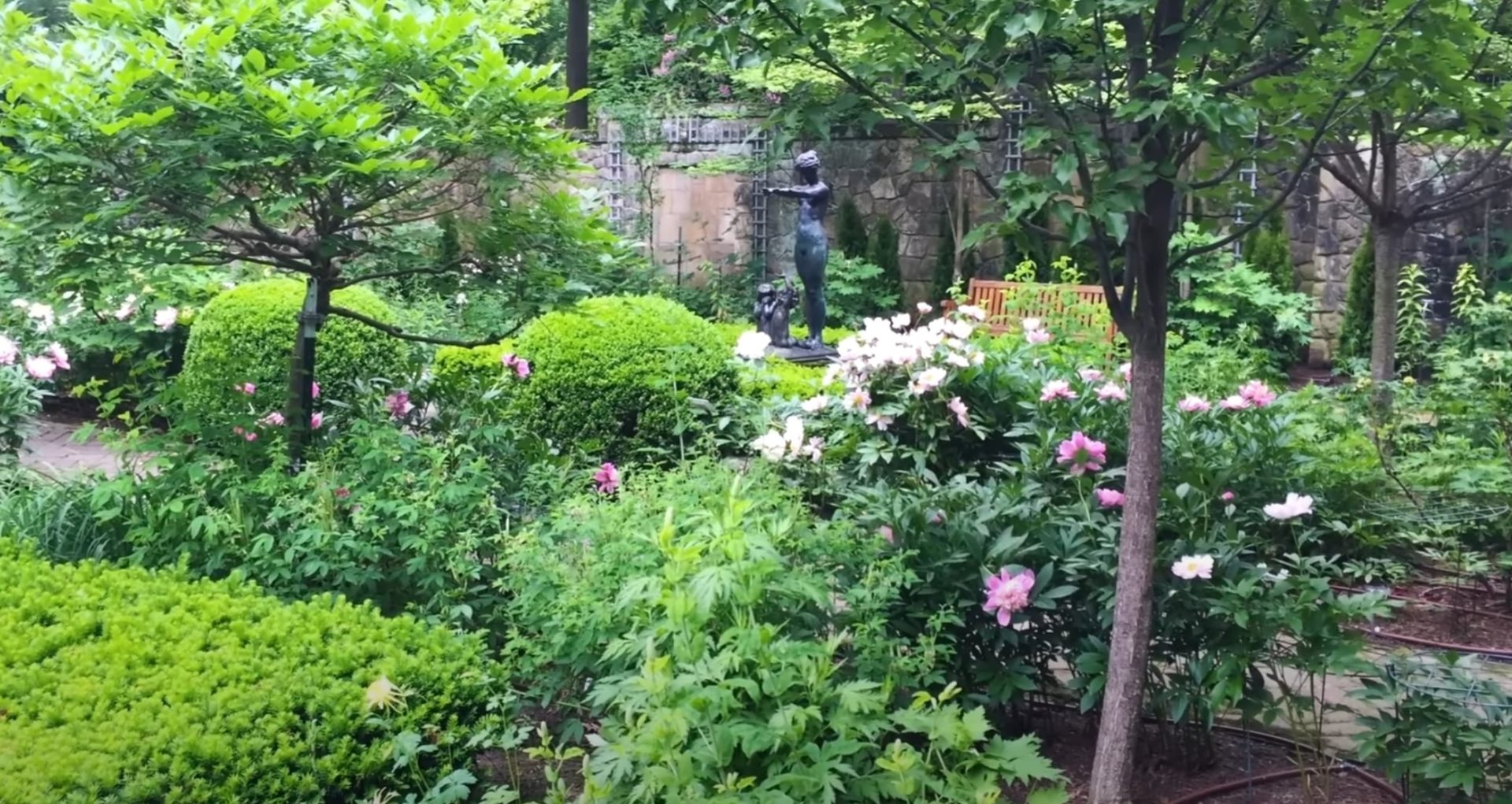 Lush garden landscape with flowering plants, mature trees, and natural stone features