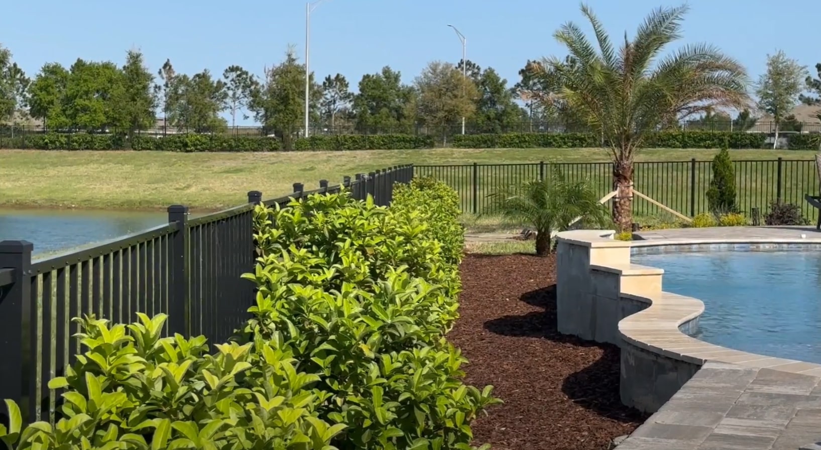 Backyard landscaping with pool area, palm trees, and professional plant installation around water features