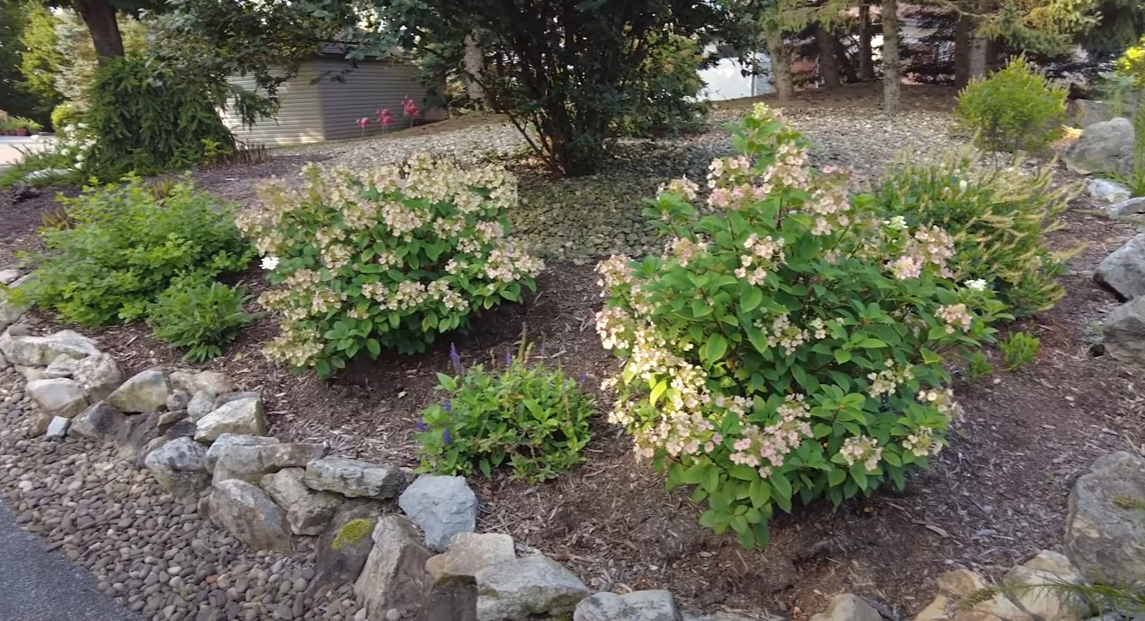 Professional landscape with efficient irrigation supporting healthy plant growth