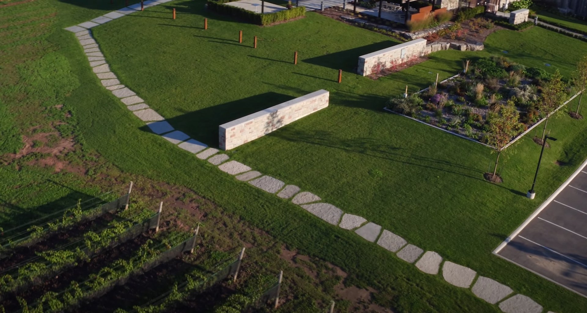 Healthy, well-maintained lawn with professional mowing patterns and lush green grass